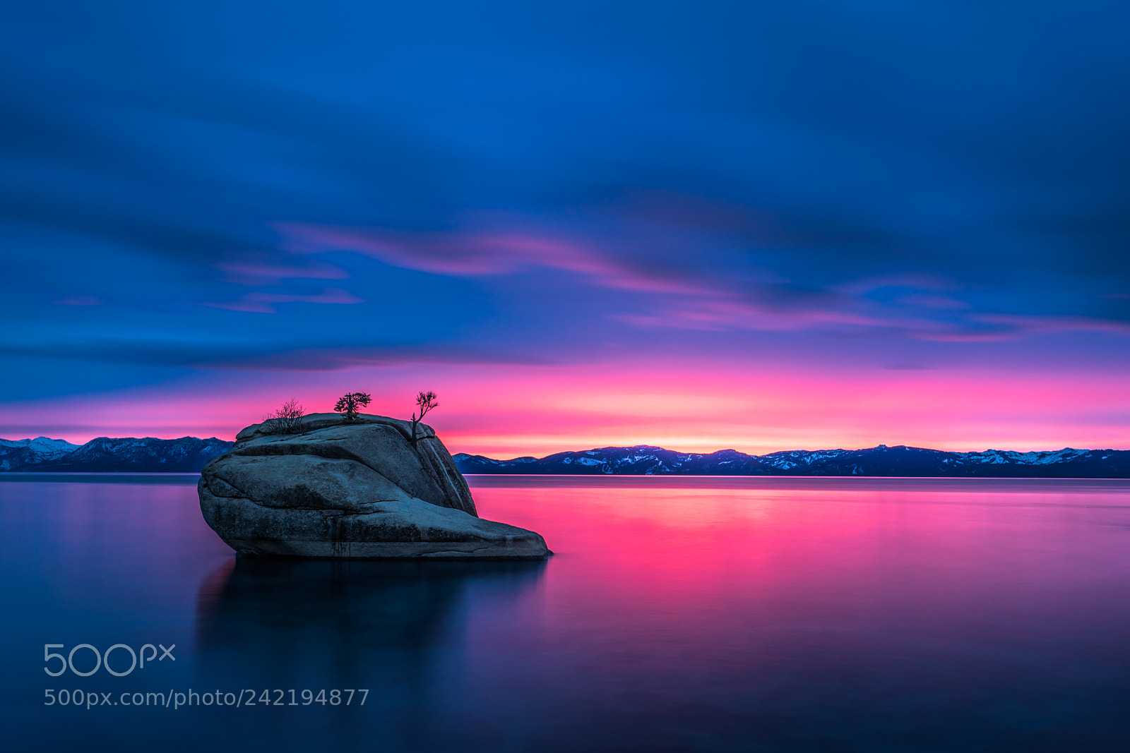 Sony a7R III sample photo. Bonsai rock sunset photography