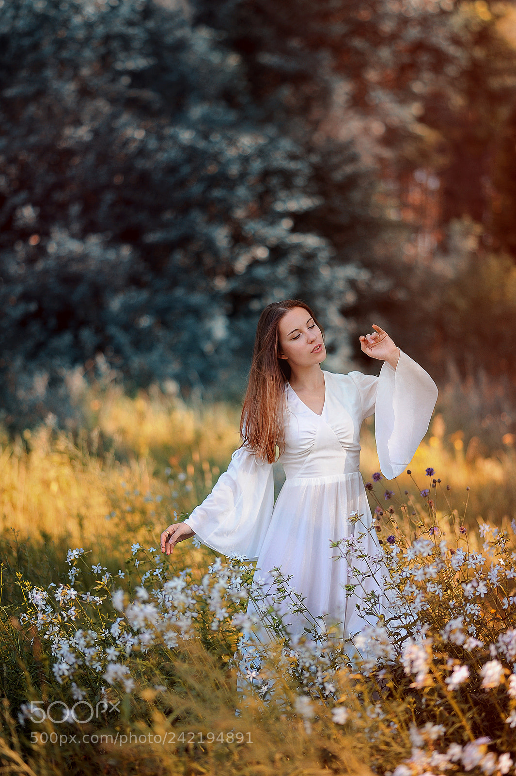 Nikon D700 sample photo. Sylph photography