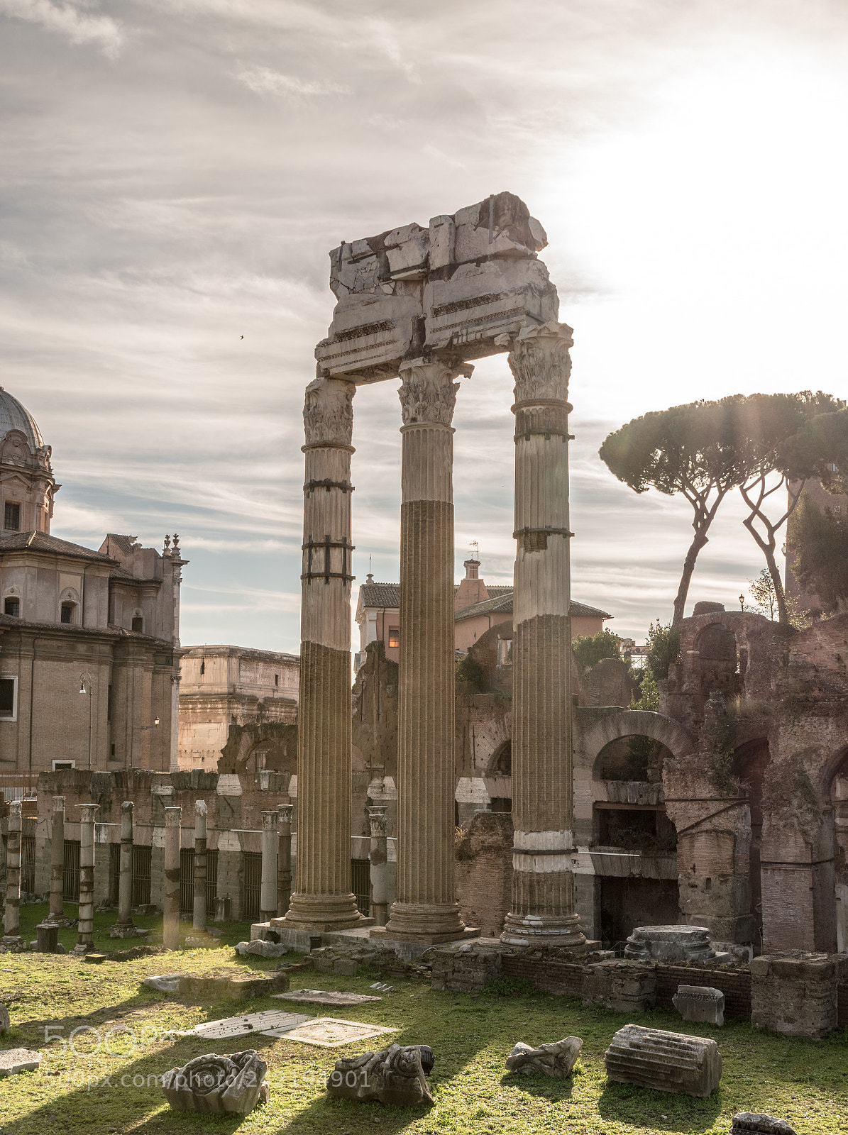 Nikon D5500 sample photo. The roman forum at photography