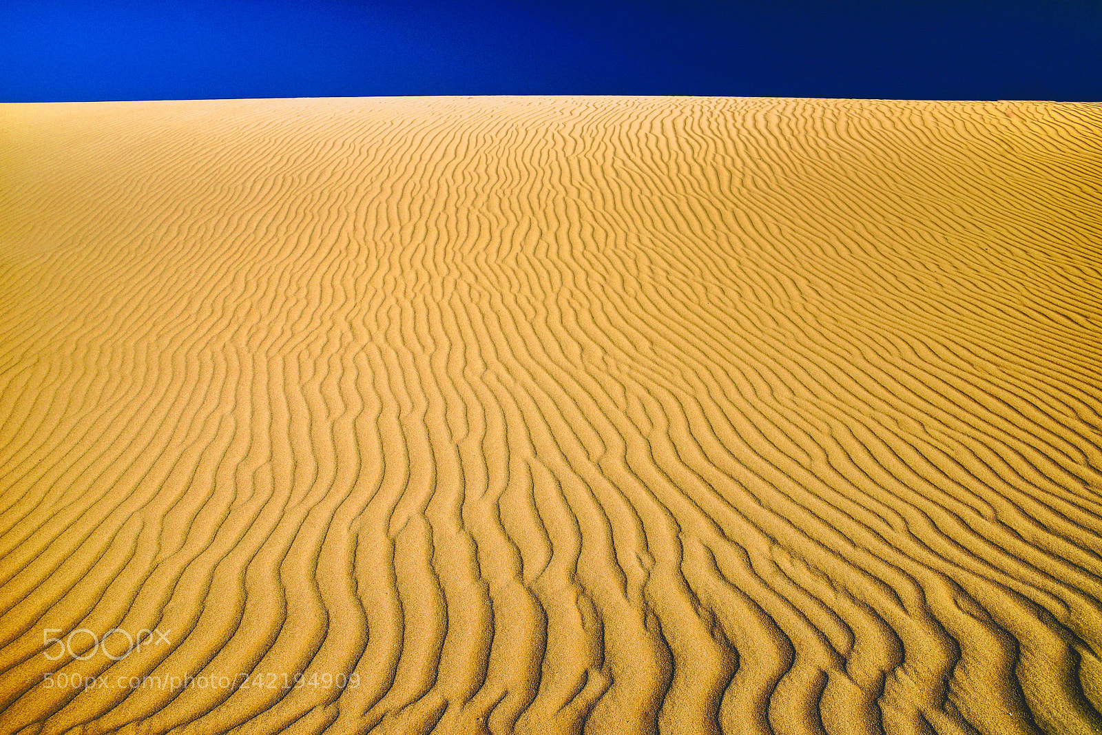 Sony SLT-A99V sample photo. Desert photography