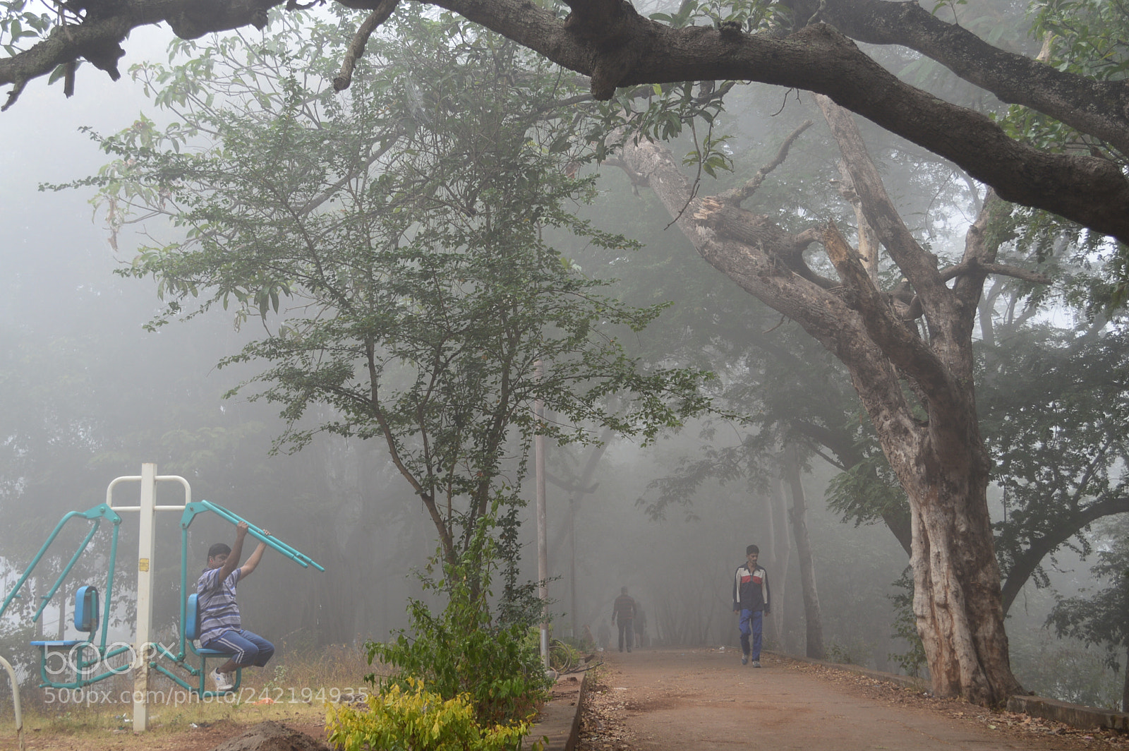 Nikon D3200 sample photo. Fitness in the mist photography