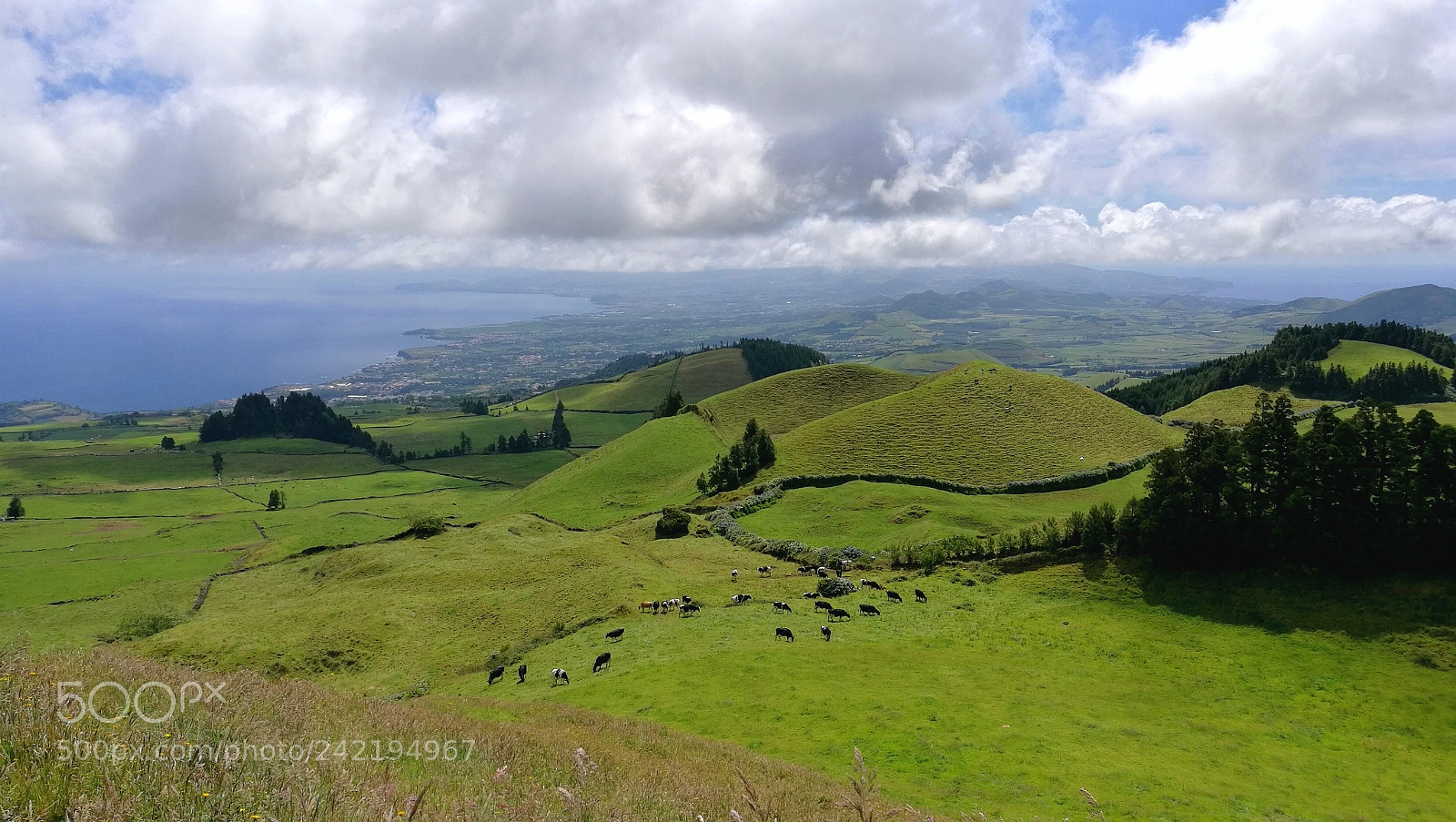 HUAWEI Honor 8 sample photo. Sao miguel landscape photography