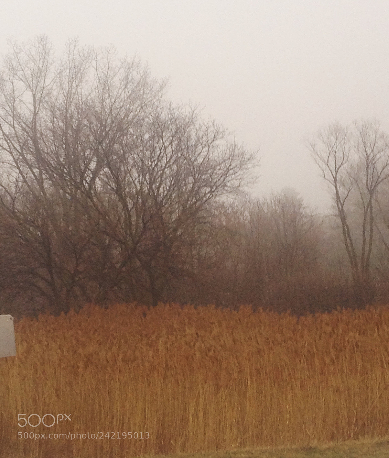 Apple iPhone 4S sample photo. Eerie photography