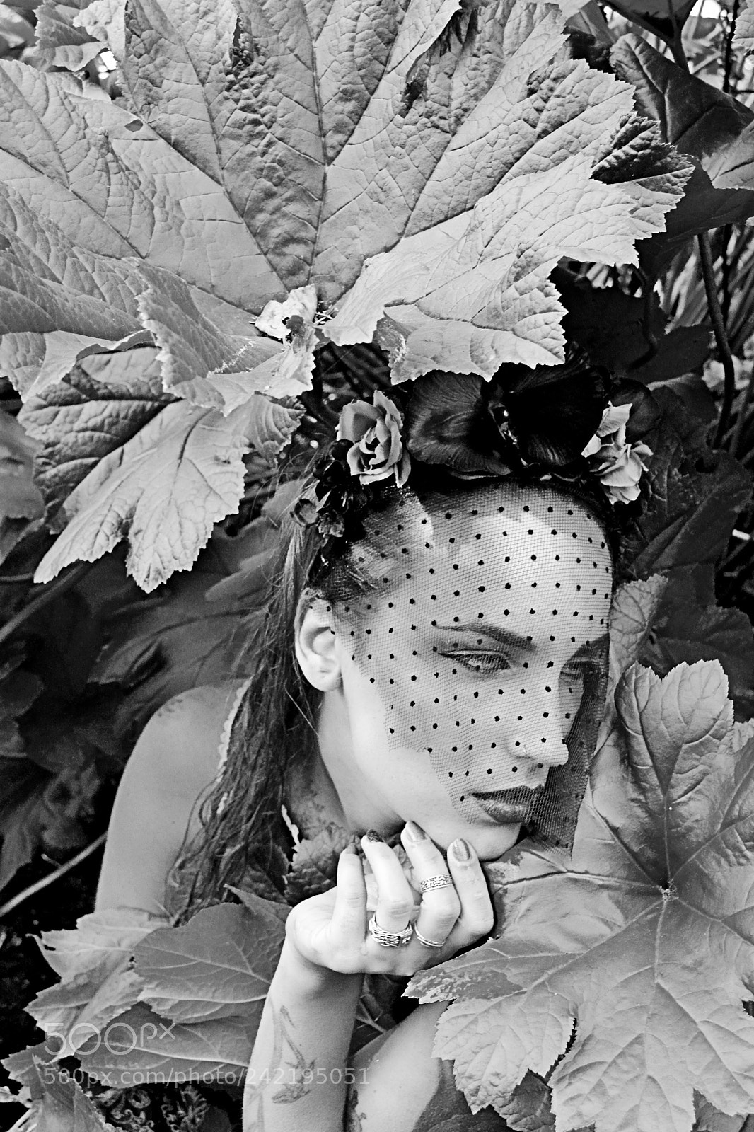 Nikon D3100 sample photo. Krystle ann photography photography