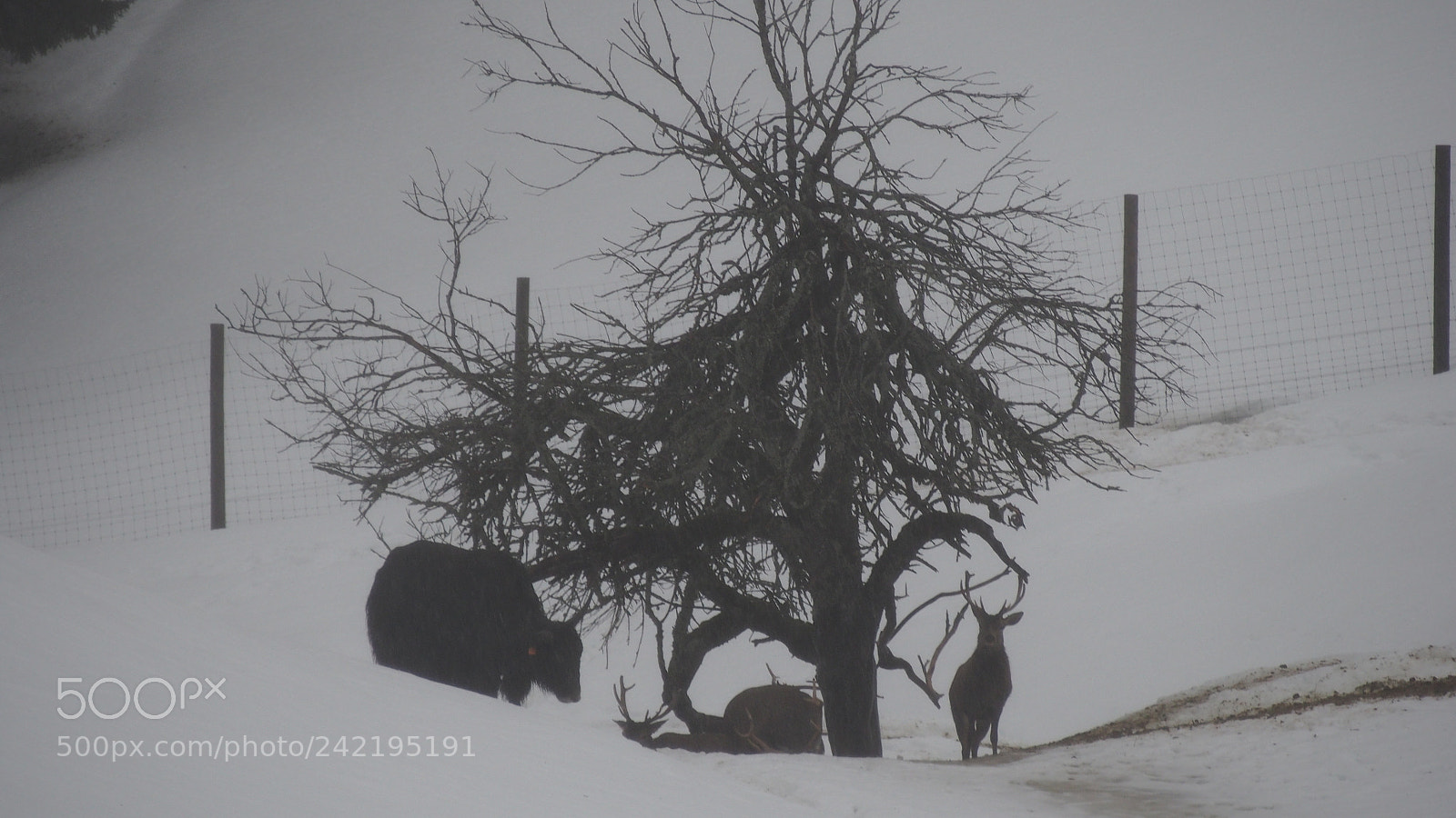 Olympus OM-D E-M5 sample photo. Distant haze photography