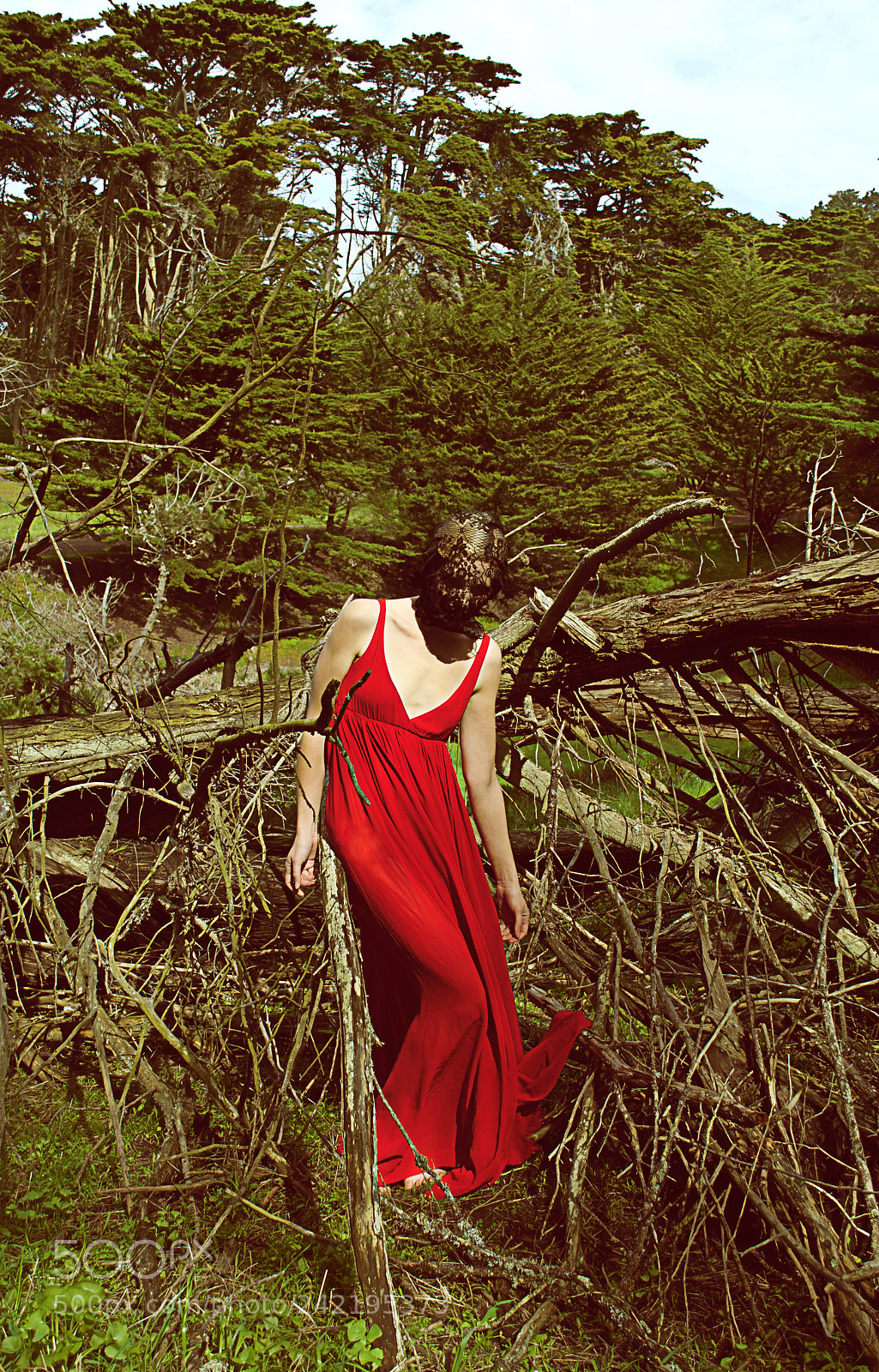 Nikon D60 sample photo. Krystle ann photography photography