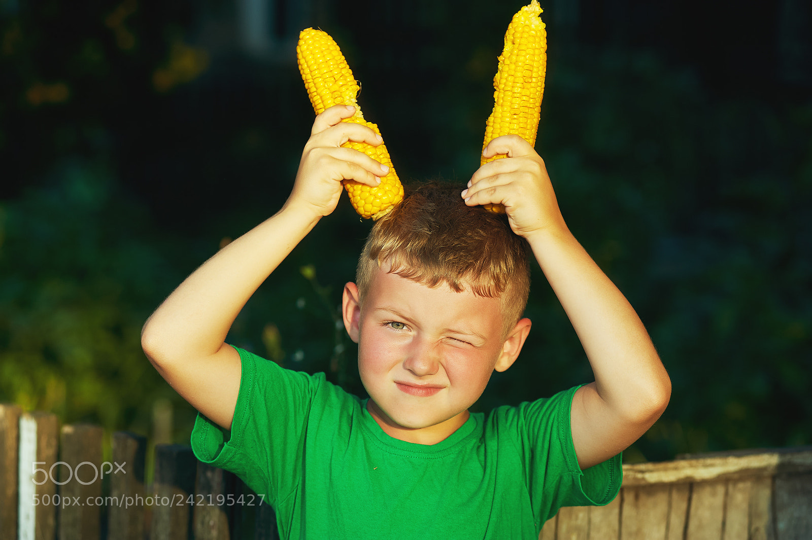 Nikon D700 sample photo. Boy holding corn in photography