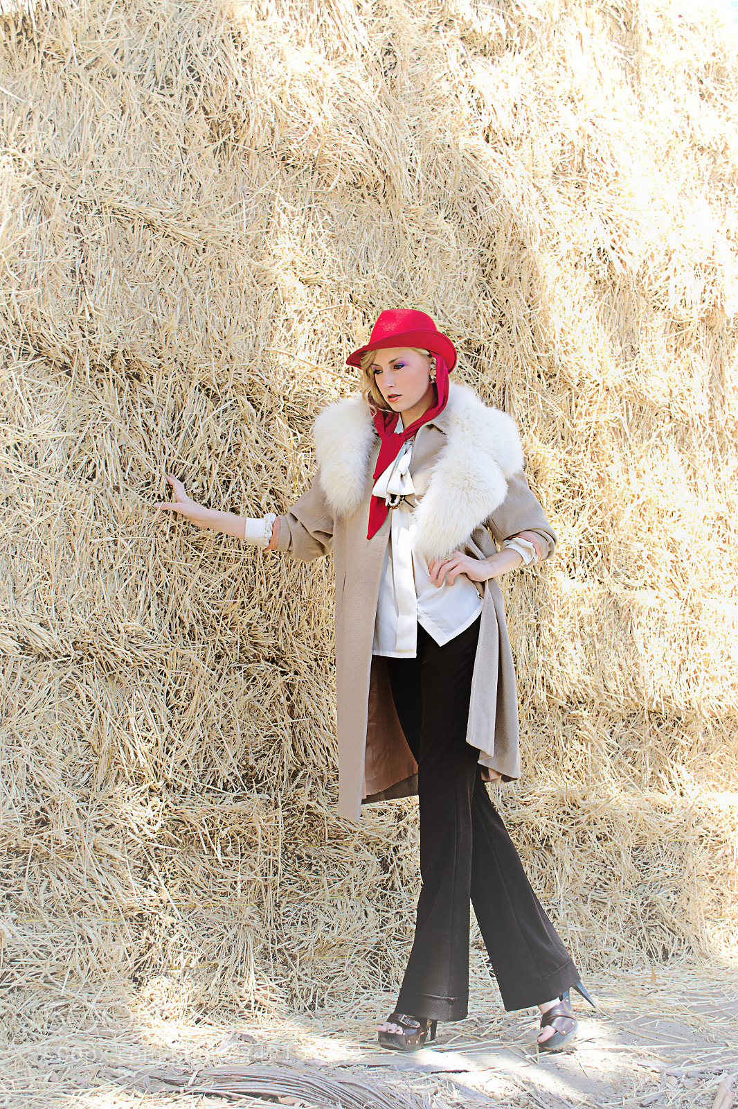 Nikon D3100 sample photo. Krystle ann photography photography