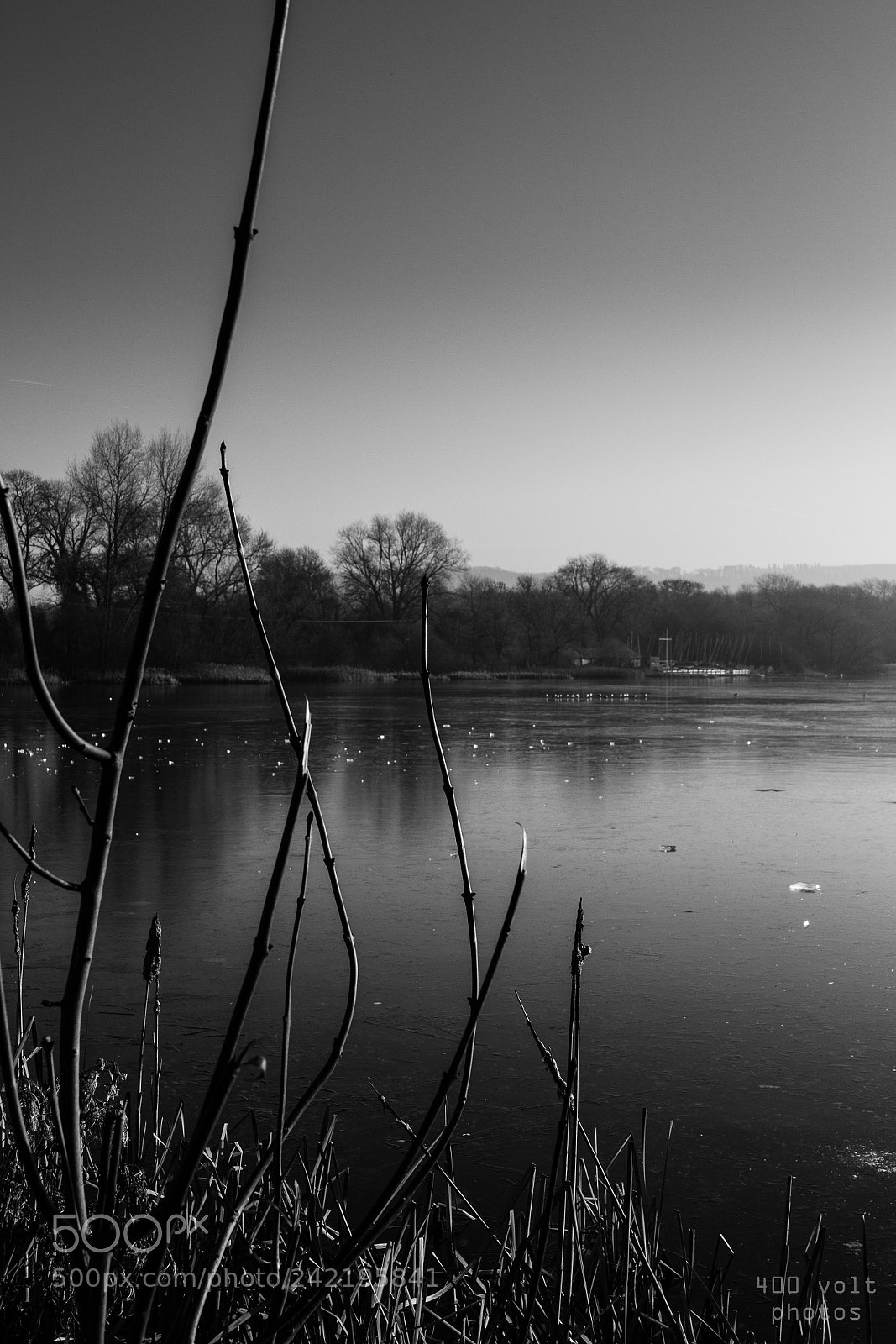 Canon EOS 60D sample photo. Img photography