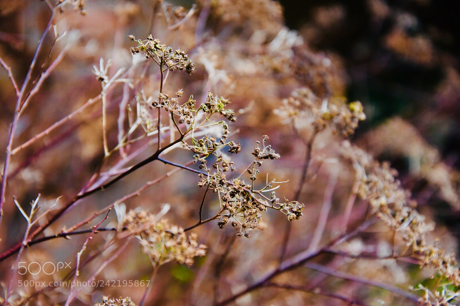 Nikon D7200 sample photo. Untitled photography