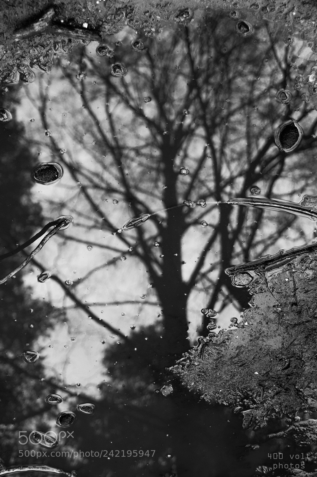 Canon EOS 60D sample photo. Img photography