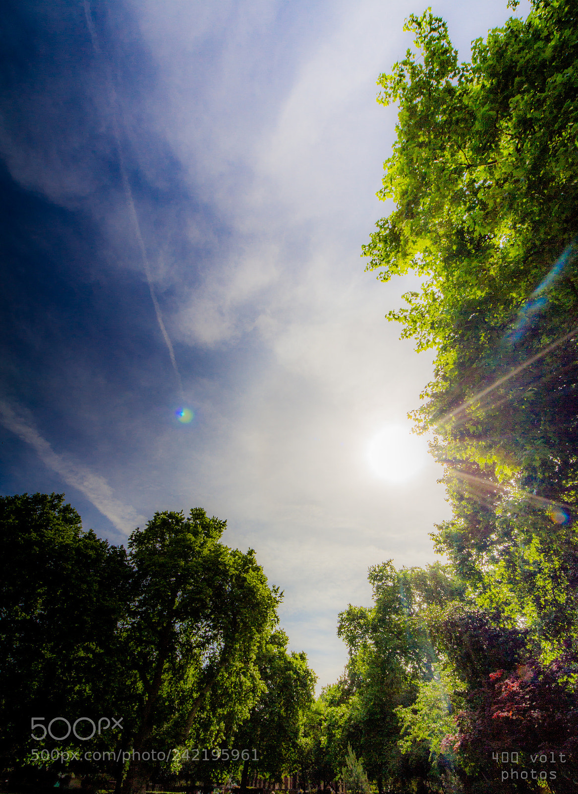 Canon EOS 60D sample photo. Img photography