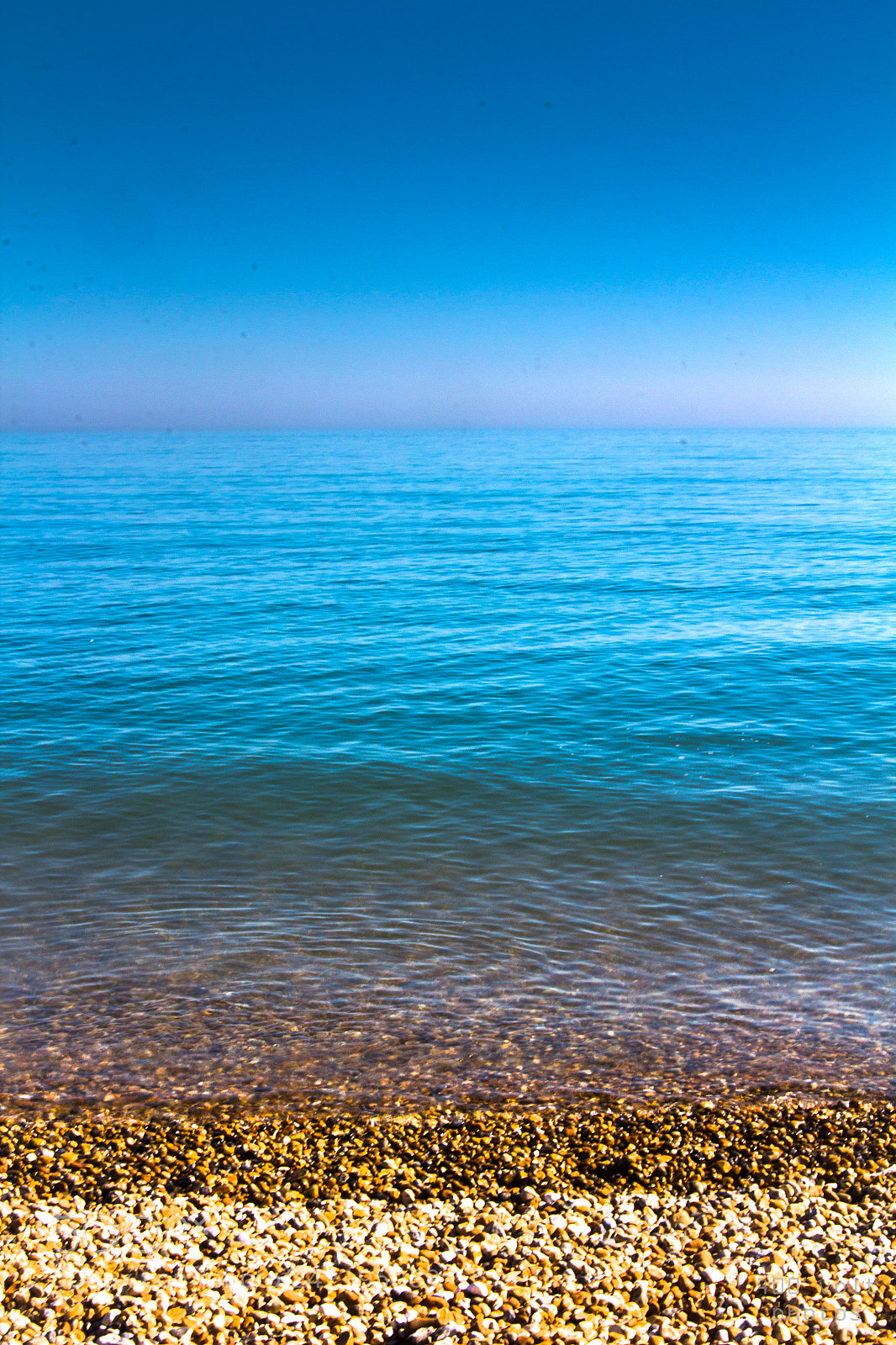 Canon EOS 60D sample photo. Img photography