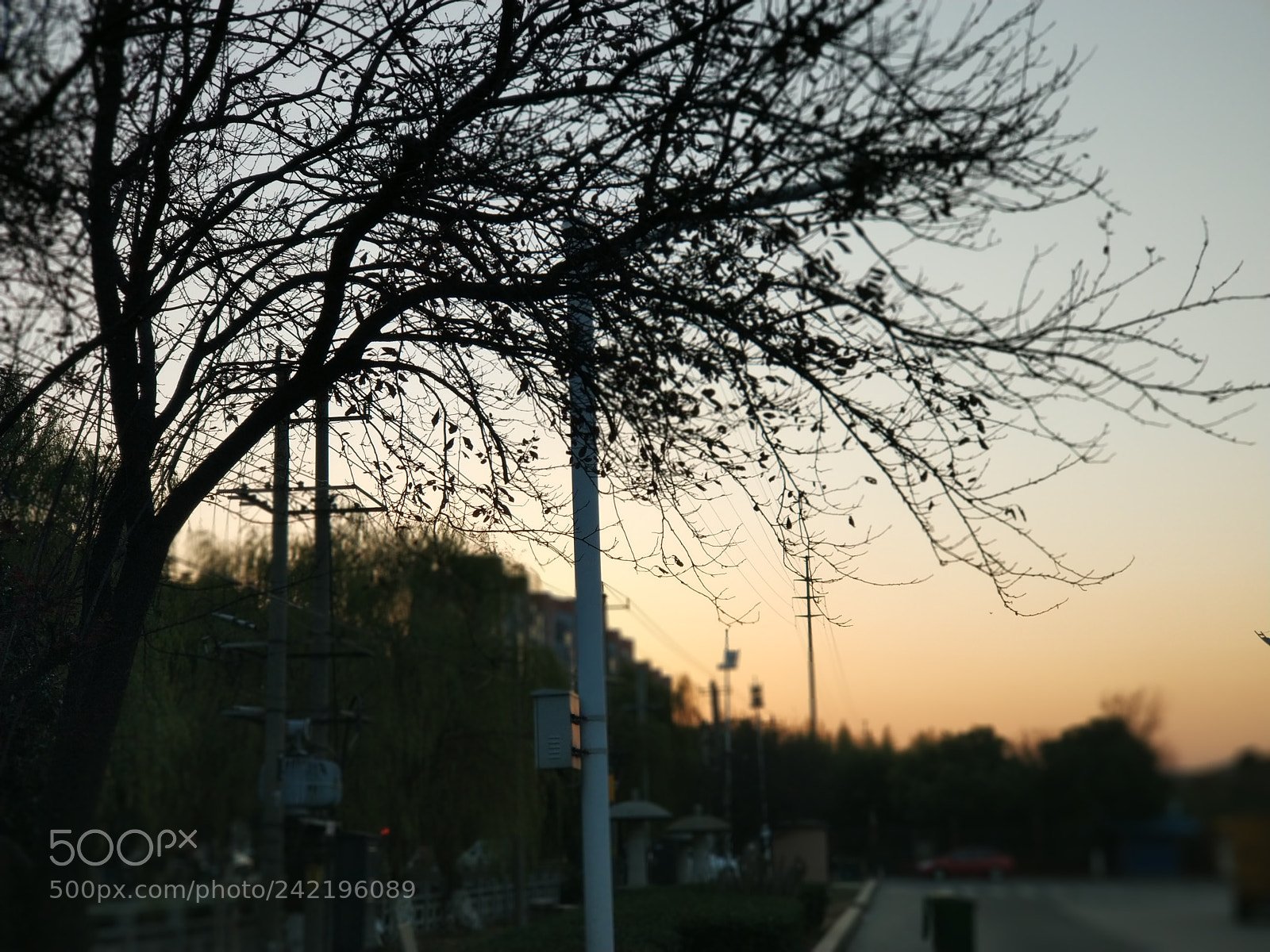 Xiaomi MI6 sample photo. Untitled photography