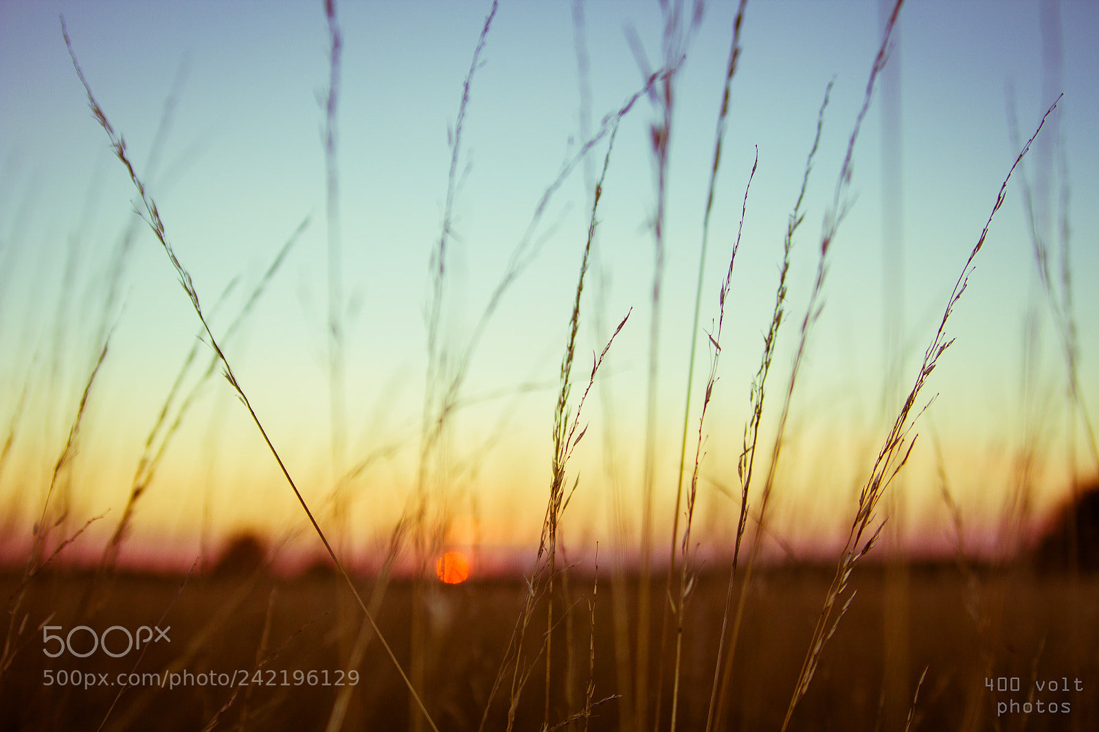 Canon EOS 60D sample photo. Img photography