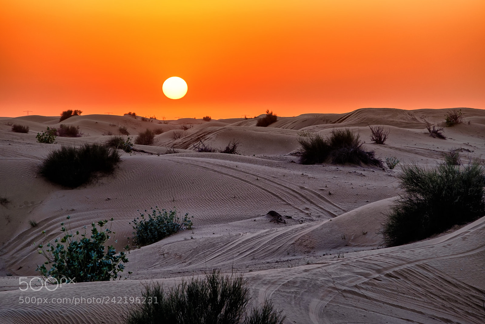 Fujifilm X-T1 sample photo. Desert sunset photography