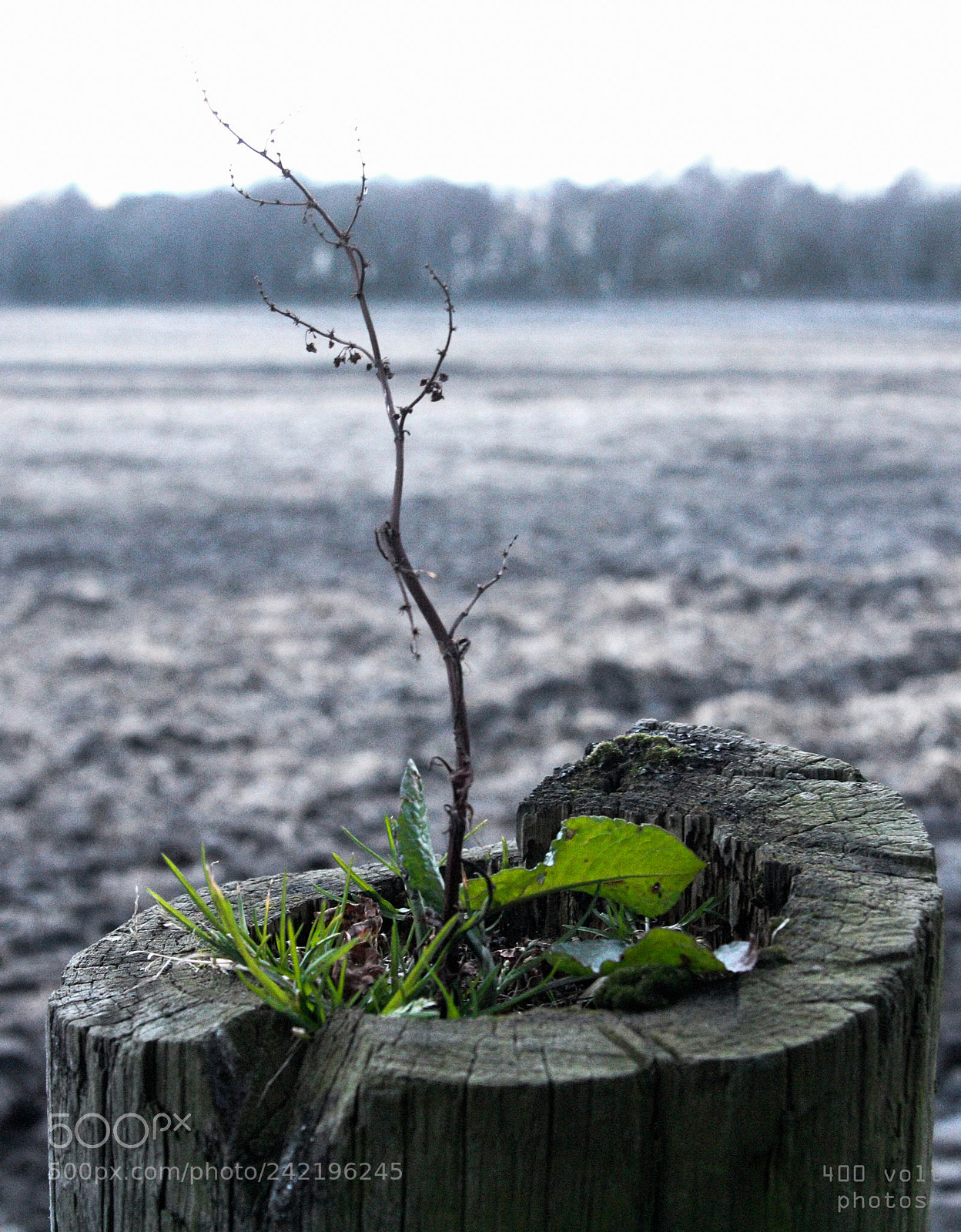 Canon EOS 60D sample photo. Img photography