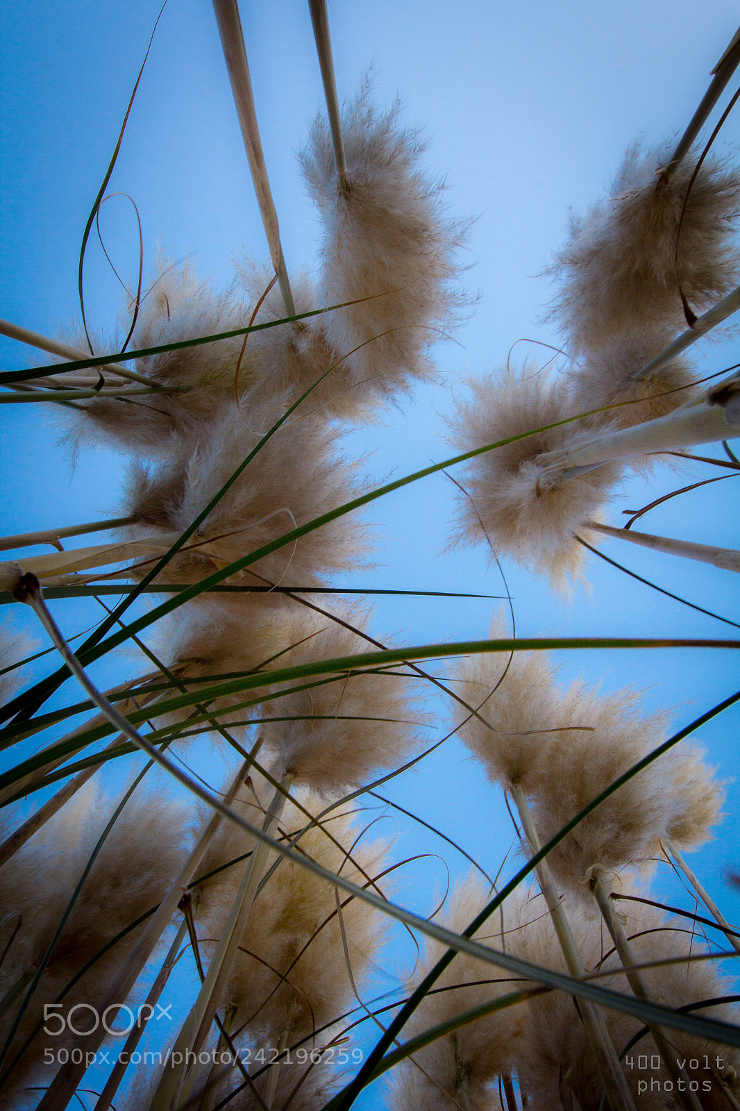 Canon EOS 60D sample photo. Img photography