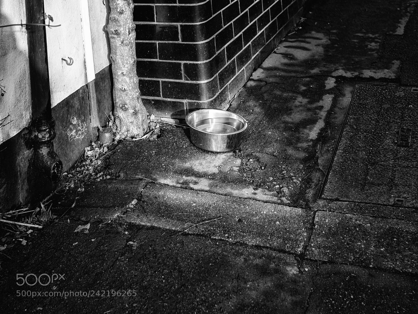Leica M (Typ 240) sample photo. "on your knees" photography