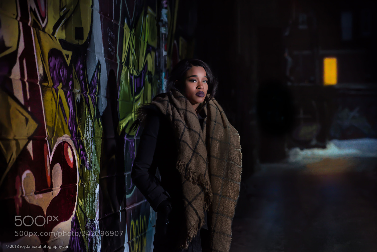 Nikon D810 sample photo. Moody alley photography