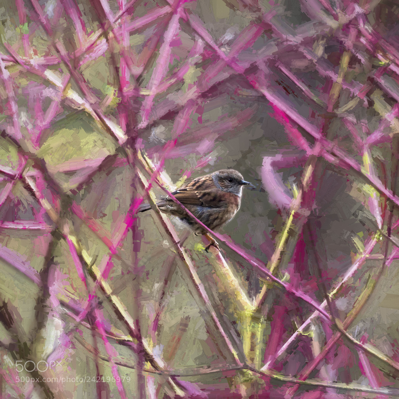 Canon EOS 1100D (EOS Rebel T3 / EOS Kiss X50) sample photo. Un oiseau photography