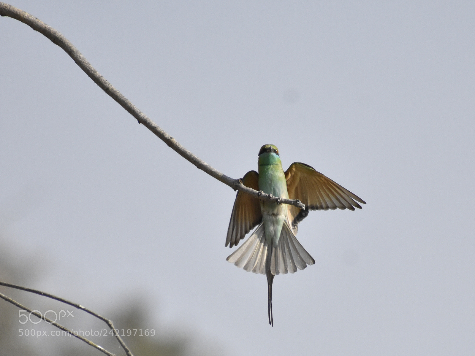 Nikon D3400 sample photo. Landing photography