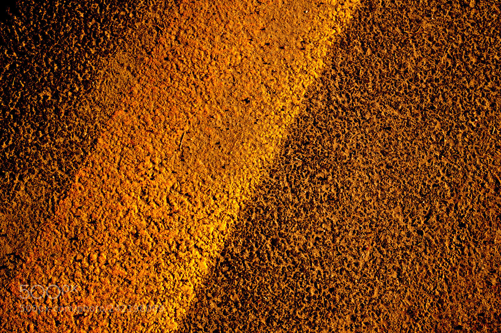 Nikon D3200 sample photo. Abstract in yellow photography