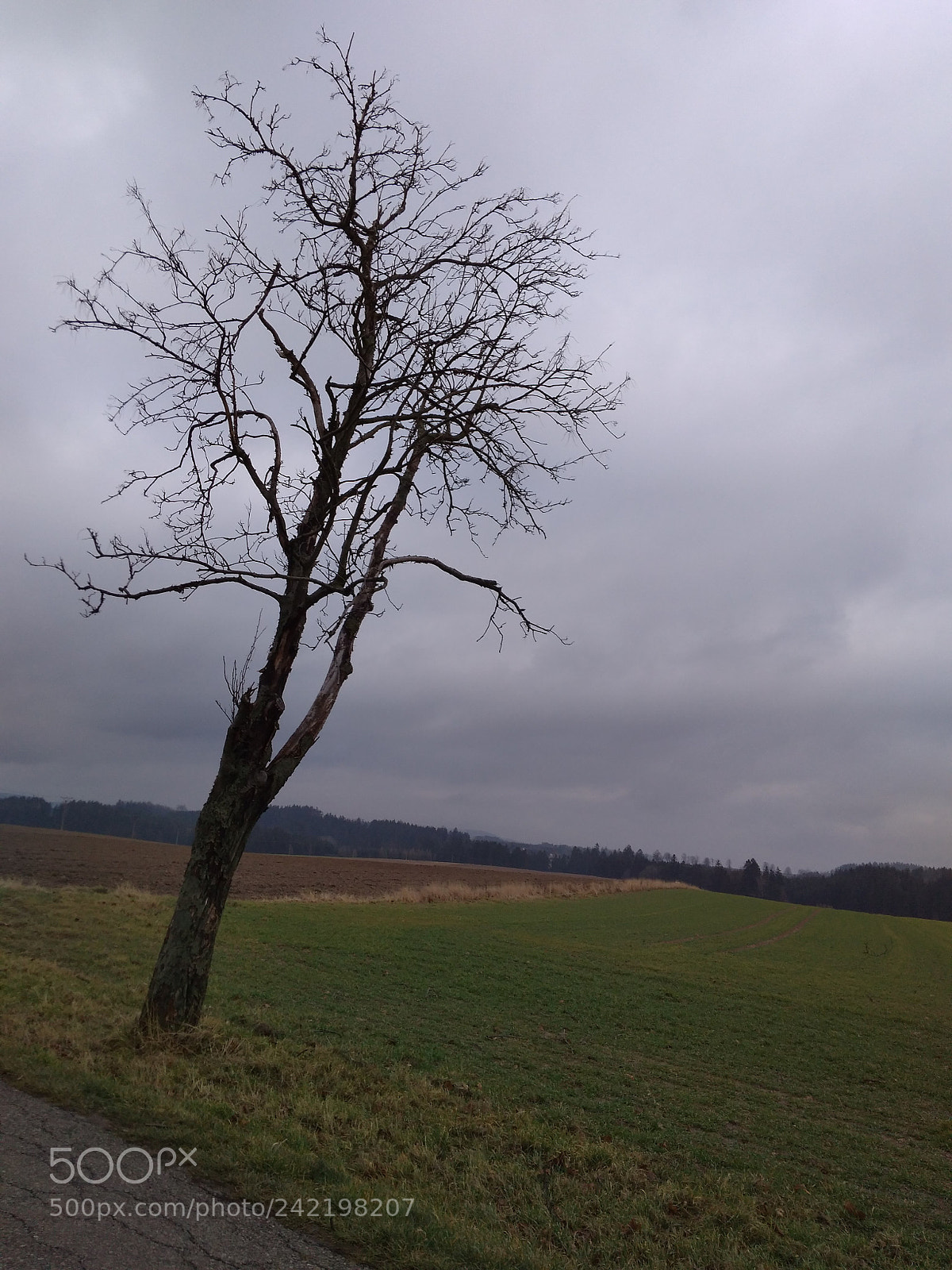Xiaomi Redmi 4A sample photo. Country photography