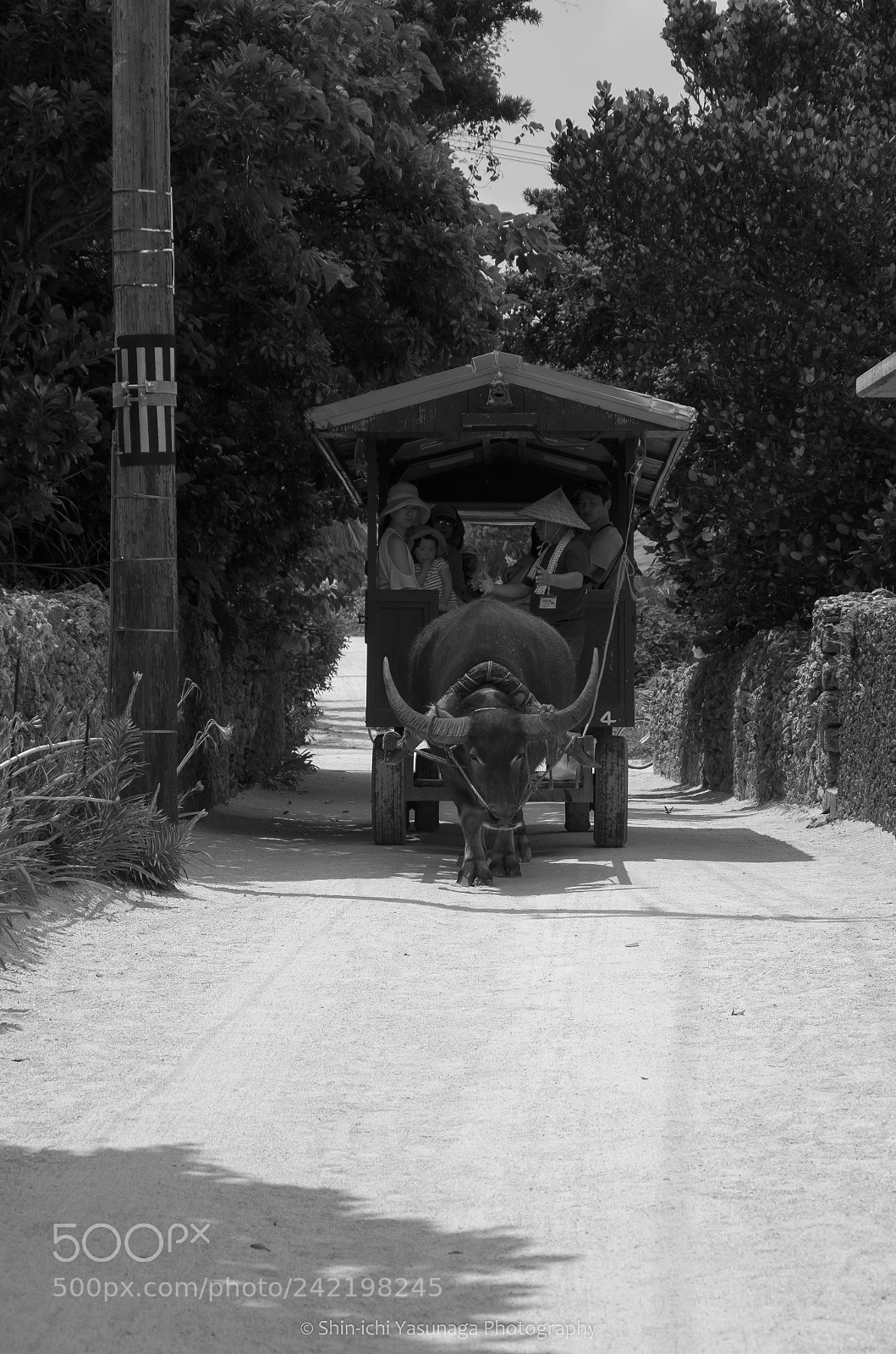 Pentax K-30 sample photo. Monochrome landscape photography