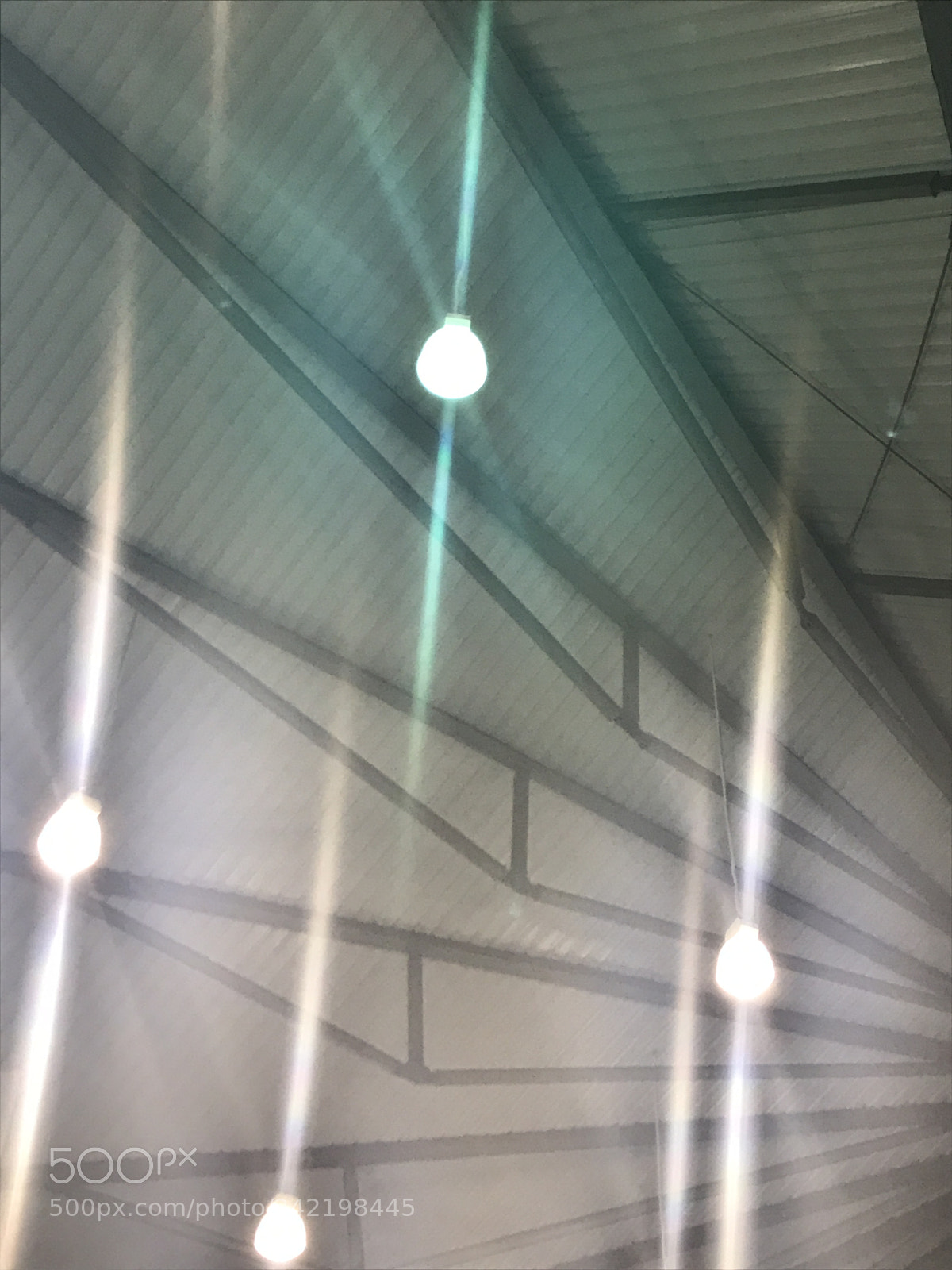 Apple iPhone 7 sample photo. Img_2096 2.jpg photography