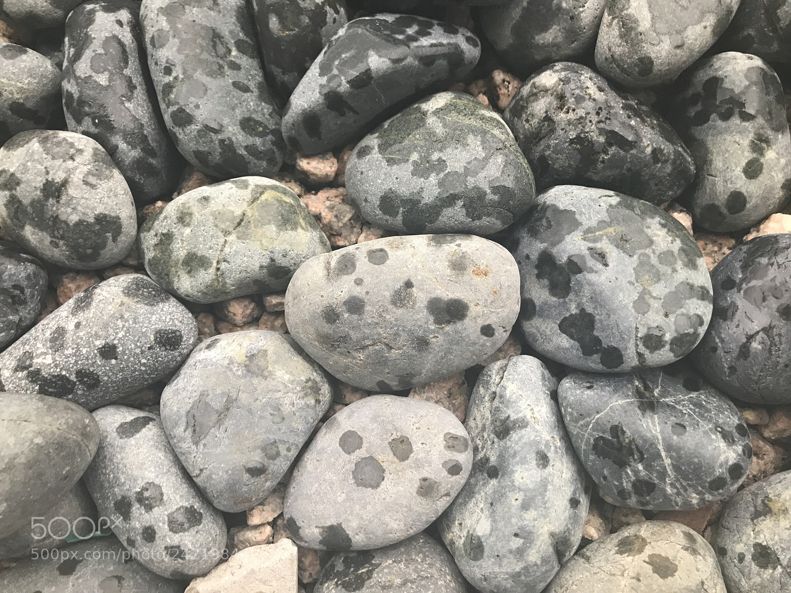 Apple iPhone 7 sample photo. Img photography
