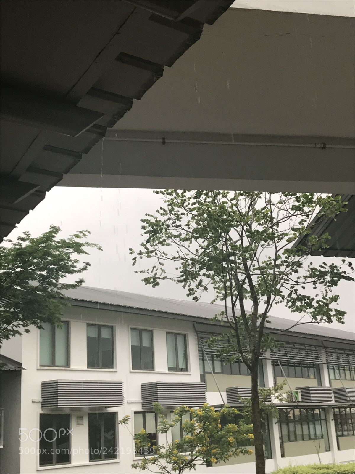 Apple iPhone 7 sample photo. Img_2121 2.jpg photography