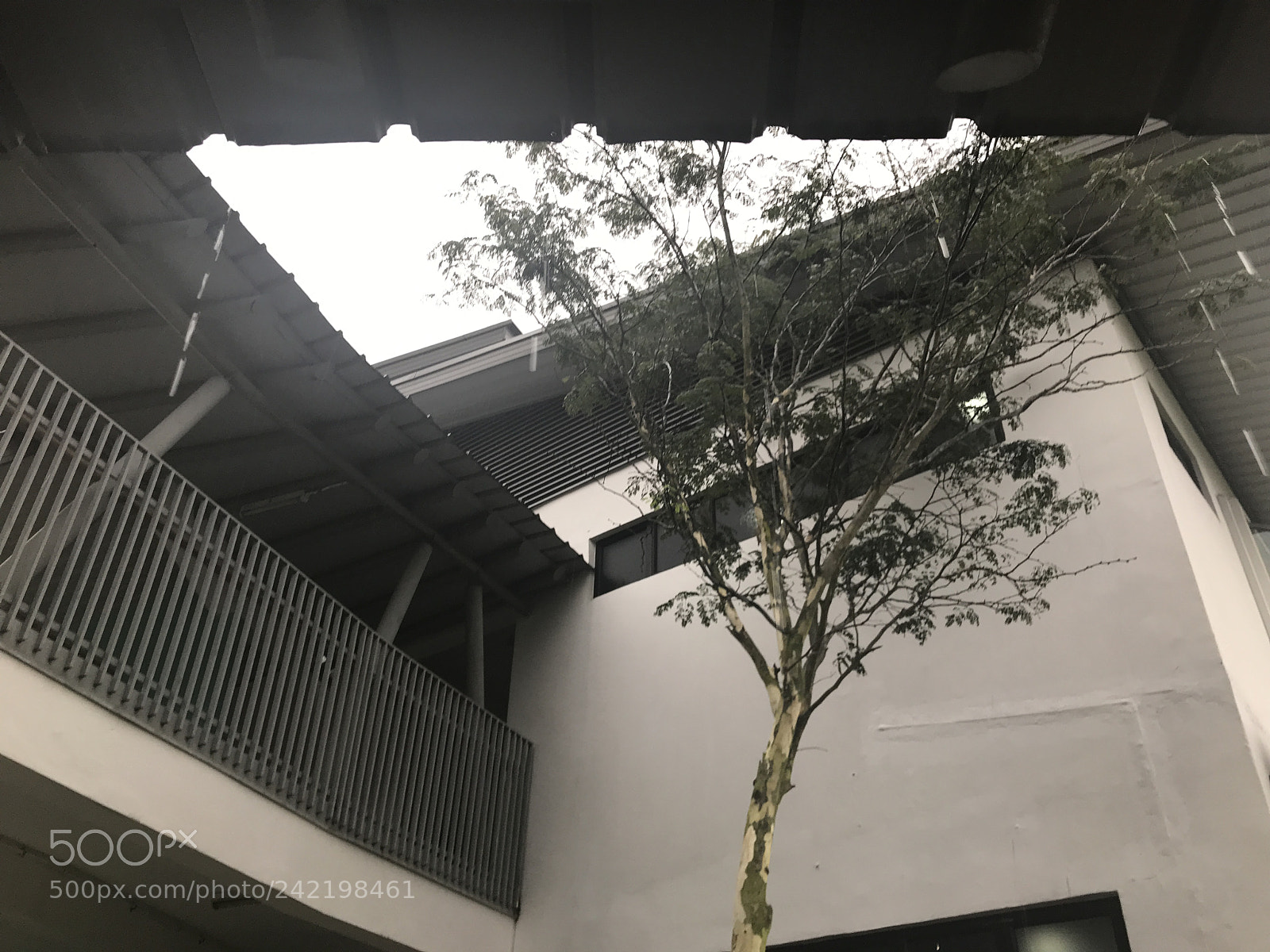 Apple iPhone 7 sample photo. Img photography