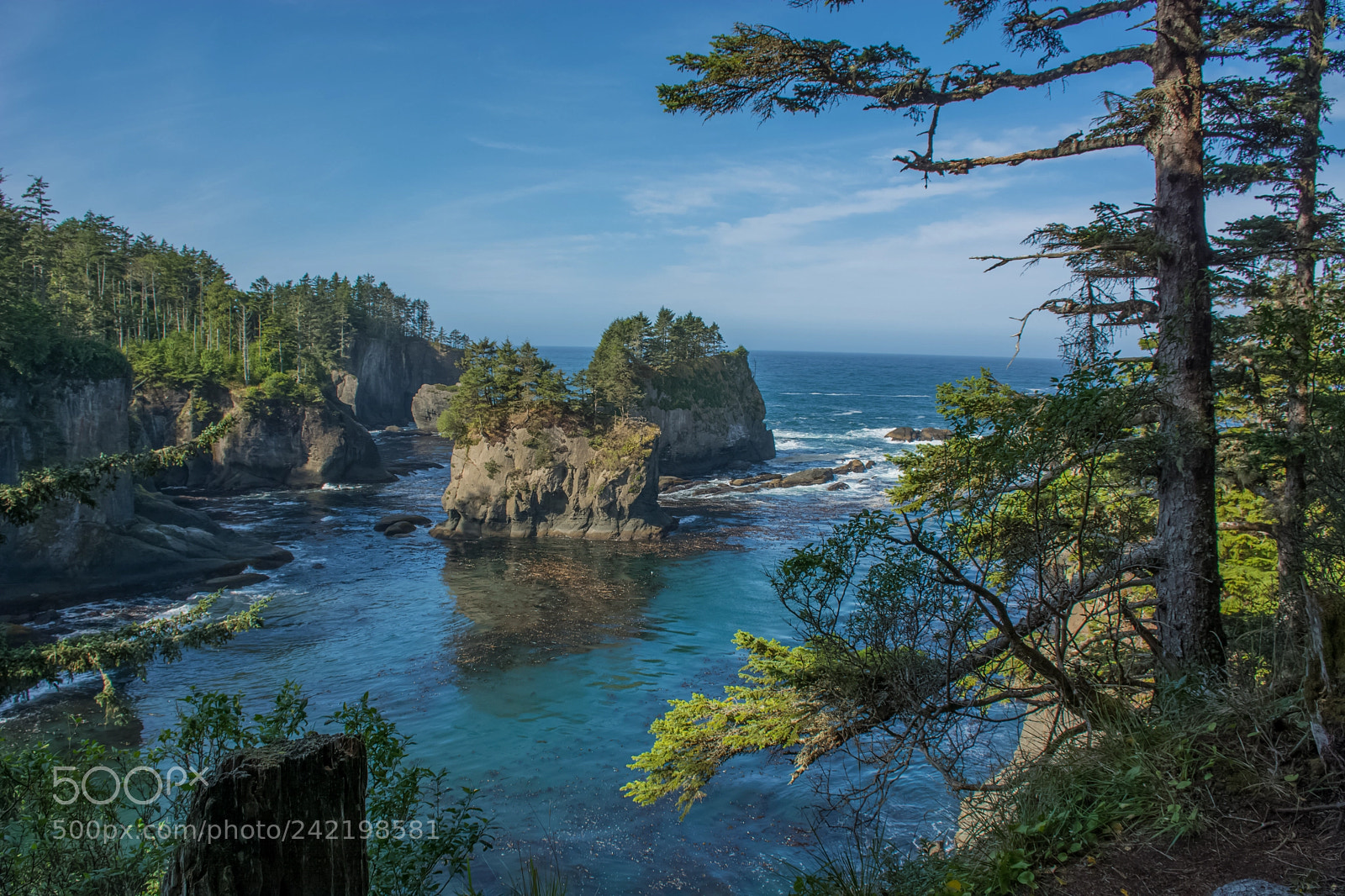 Nikon D7100 sample photo. Cape flattery photography