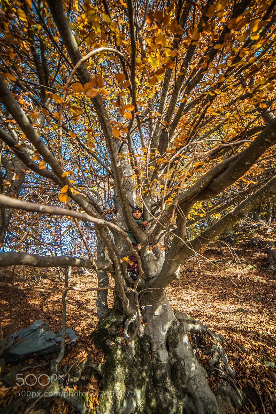 Nikon D800 sample photo. The net photography