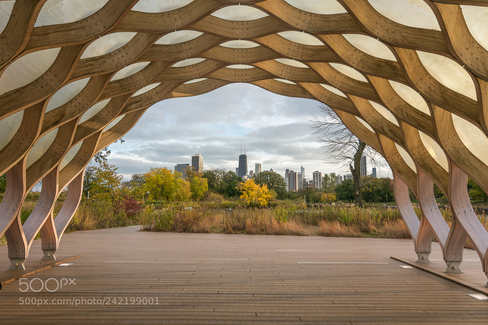 Nikon D3400 sample photo. Lincoln park photography