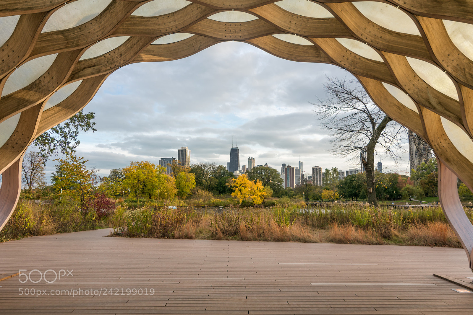 Nikon D3400 sample photo. Lincoln park photography
