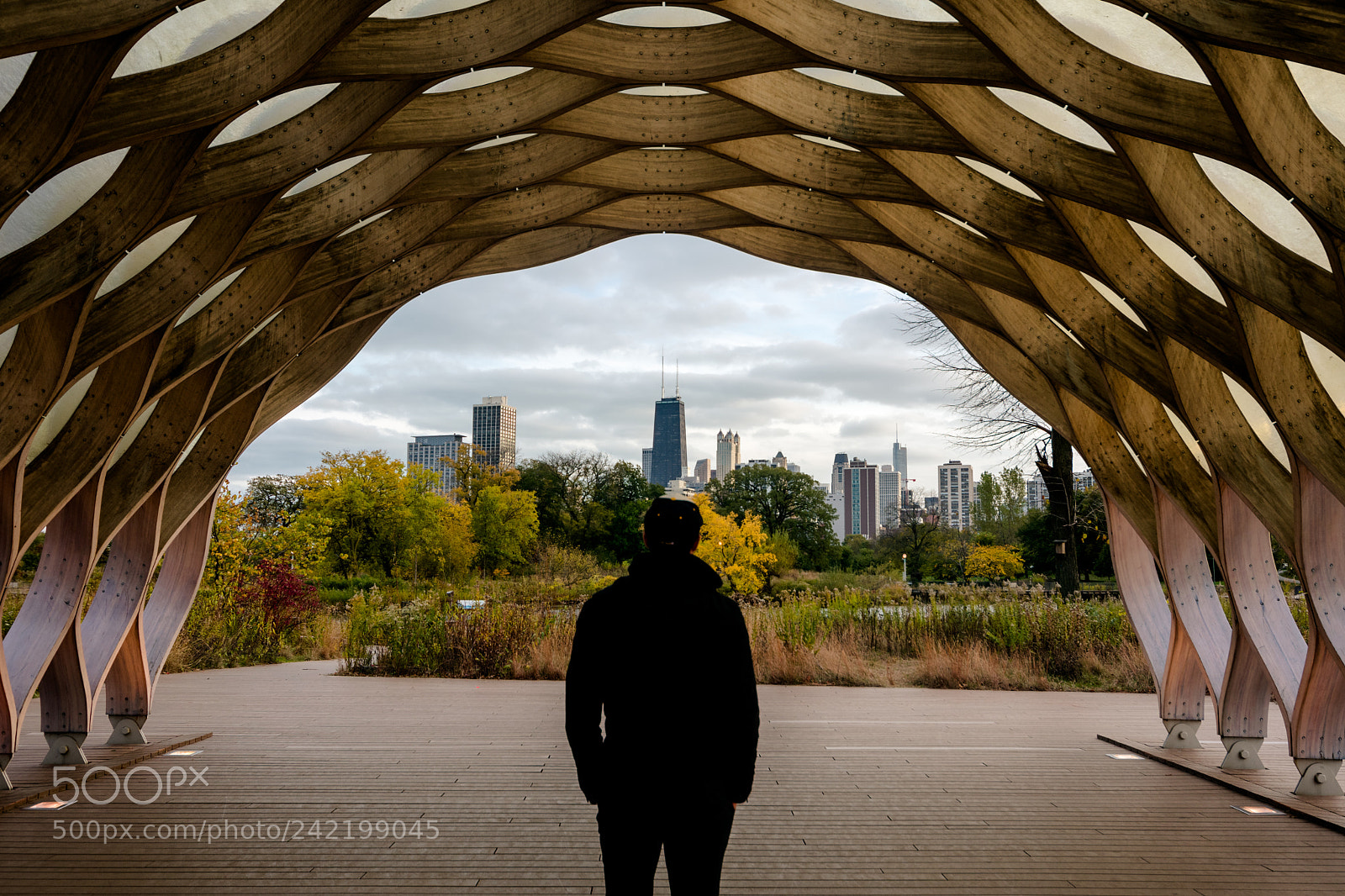 Nikon D3400 sample photo. Lincoln park photography