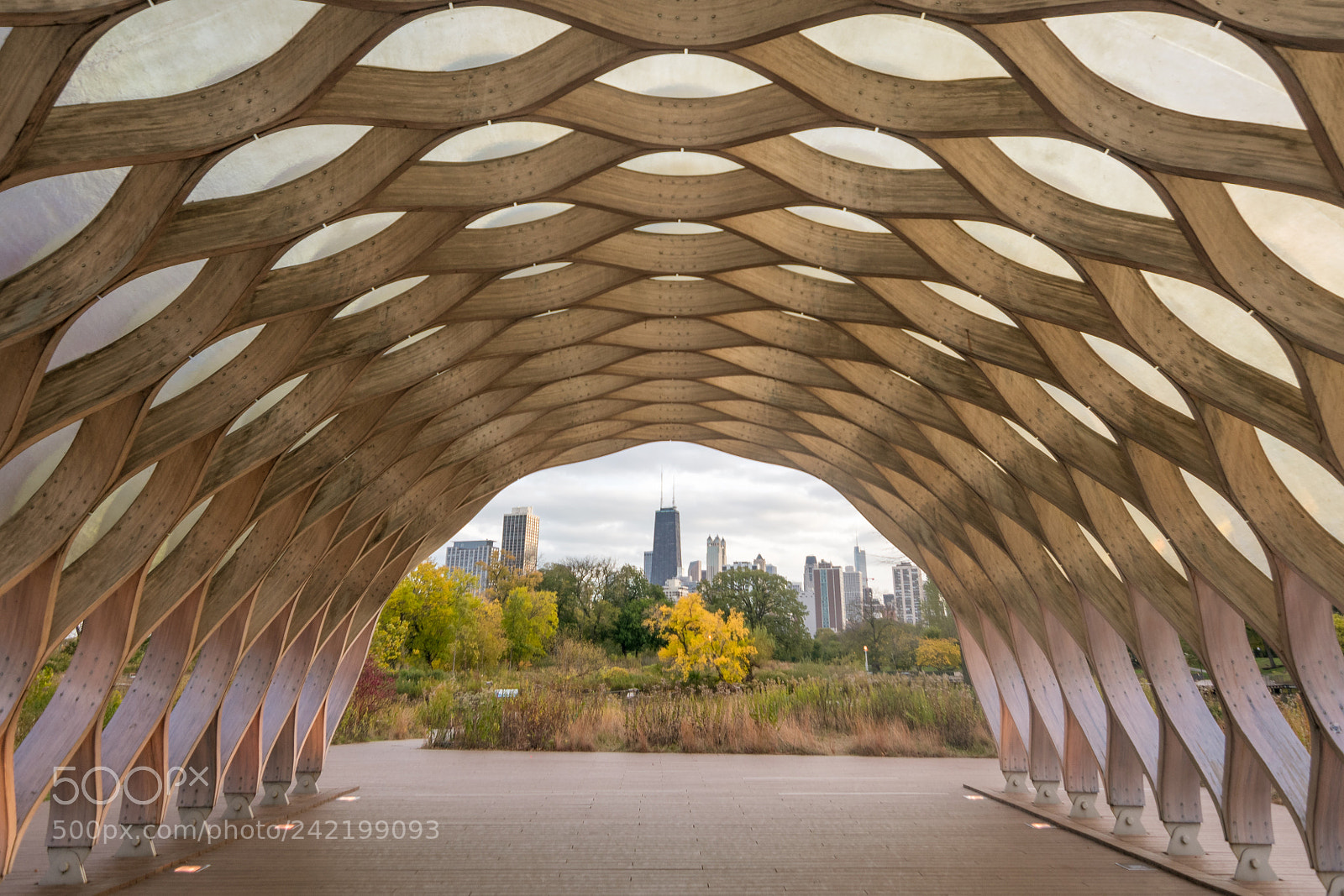 Nikon D3400 sample photo. Lincoln park photography