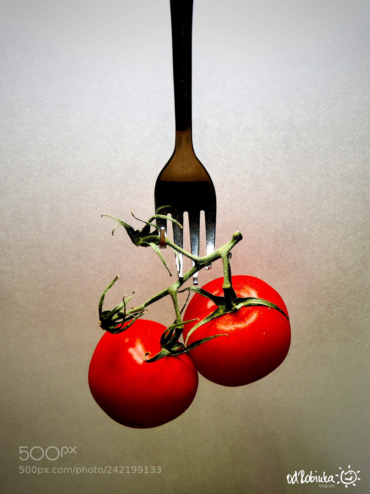 Olympus OM-D E-M10 II sample photo. Tomato odysey photography