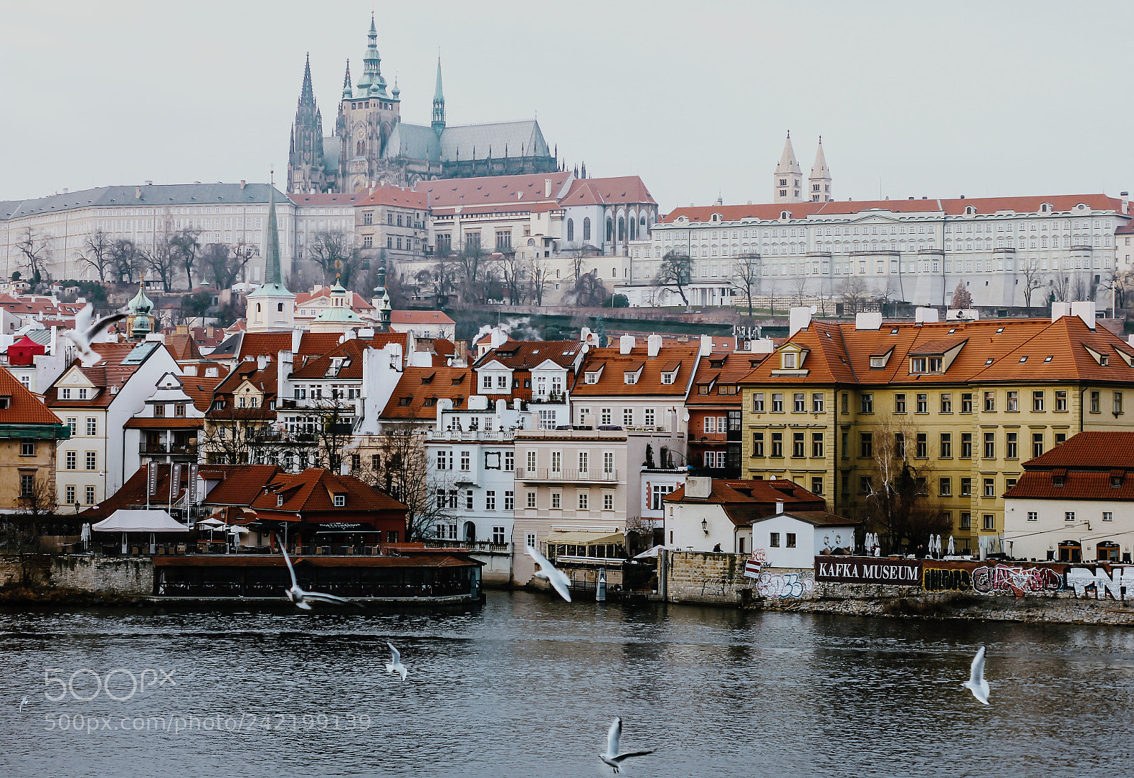 Canon EOS 550D (EOS Rebel T2i / EOS Kiss X4) sample photo. Prague photography