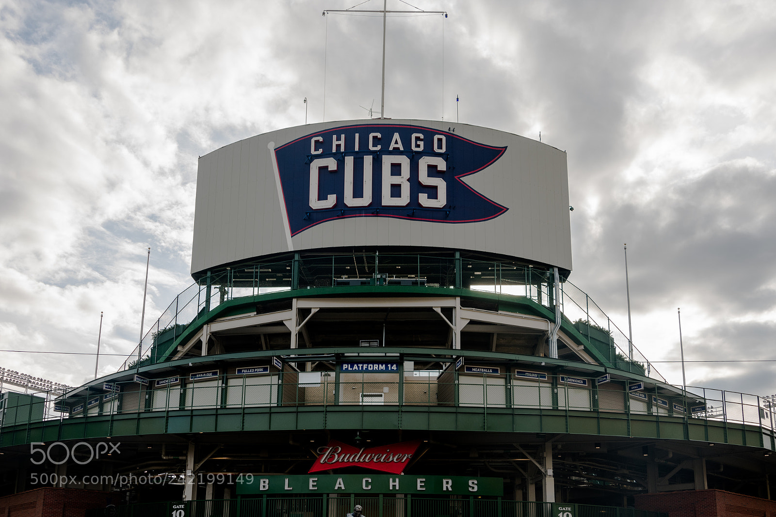 Nikon D3400 sample photo. Cubs photography