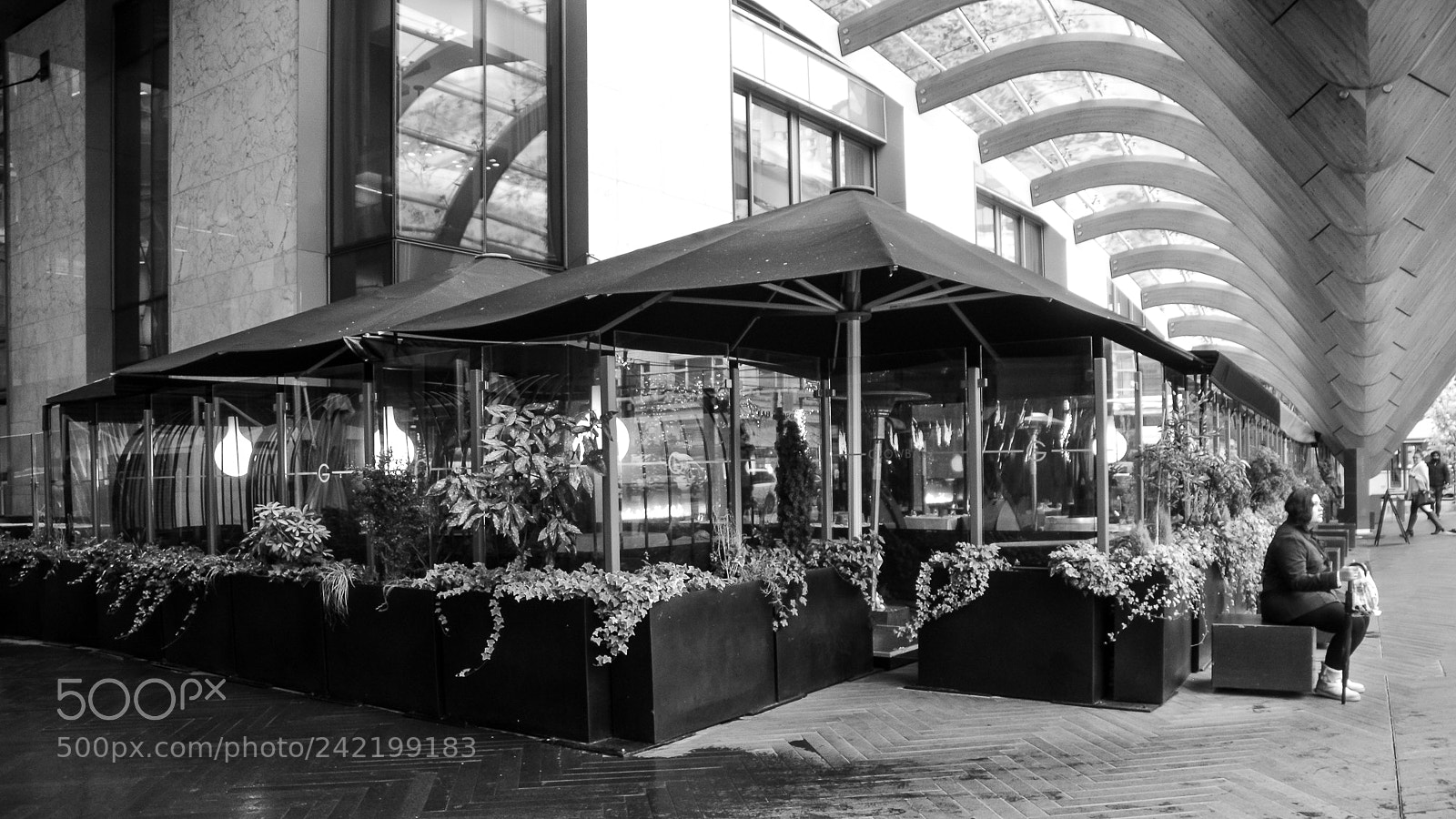 Nikon D800 sample photo. Vancouver corner|温哥华一角 photography