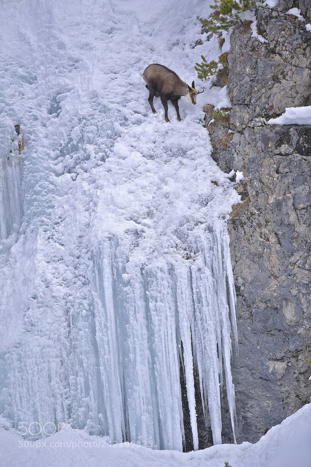Nikon D3S sample photo. Precarious balance photography
