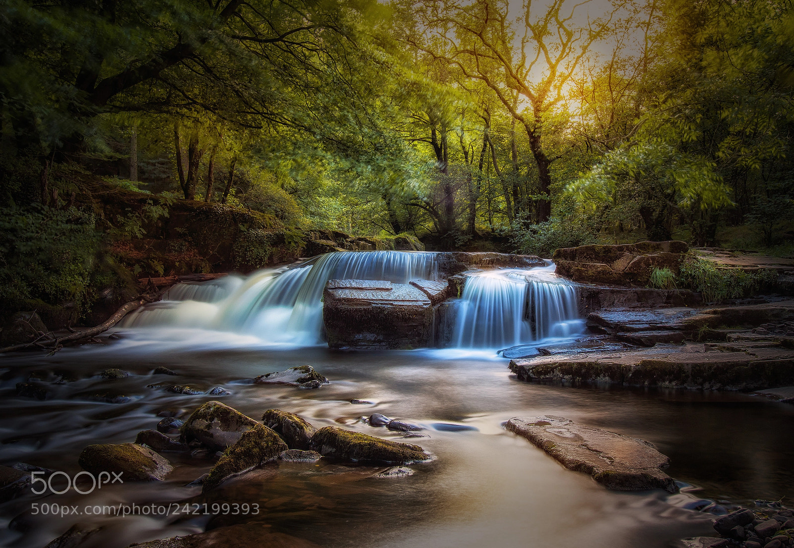 Canon EOS 7D Mark II sample photo. Evening sun at taff photography