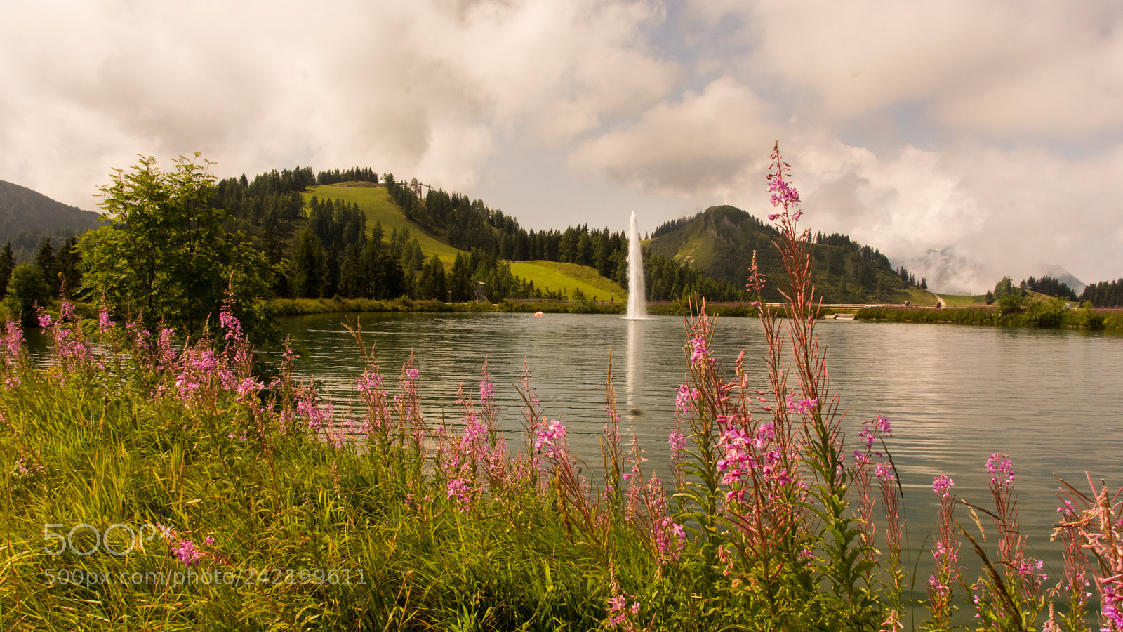Sony SLT-A65 (SLT-A65V) sample photo. Wagrain grafenberg photography