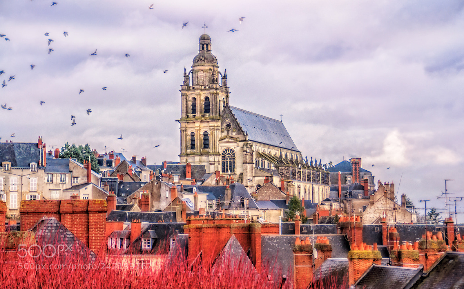Nikon D90 sample photo. Blois cathedral photography