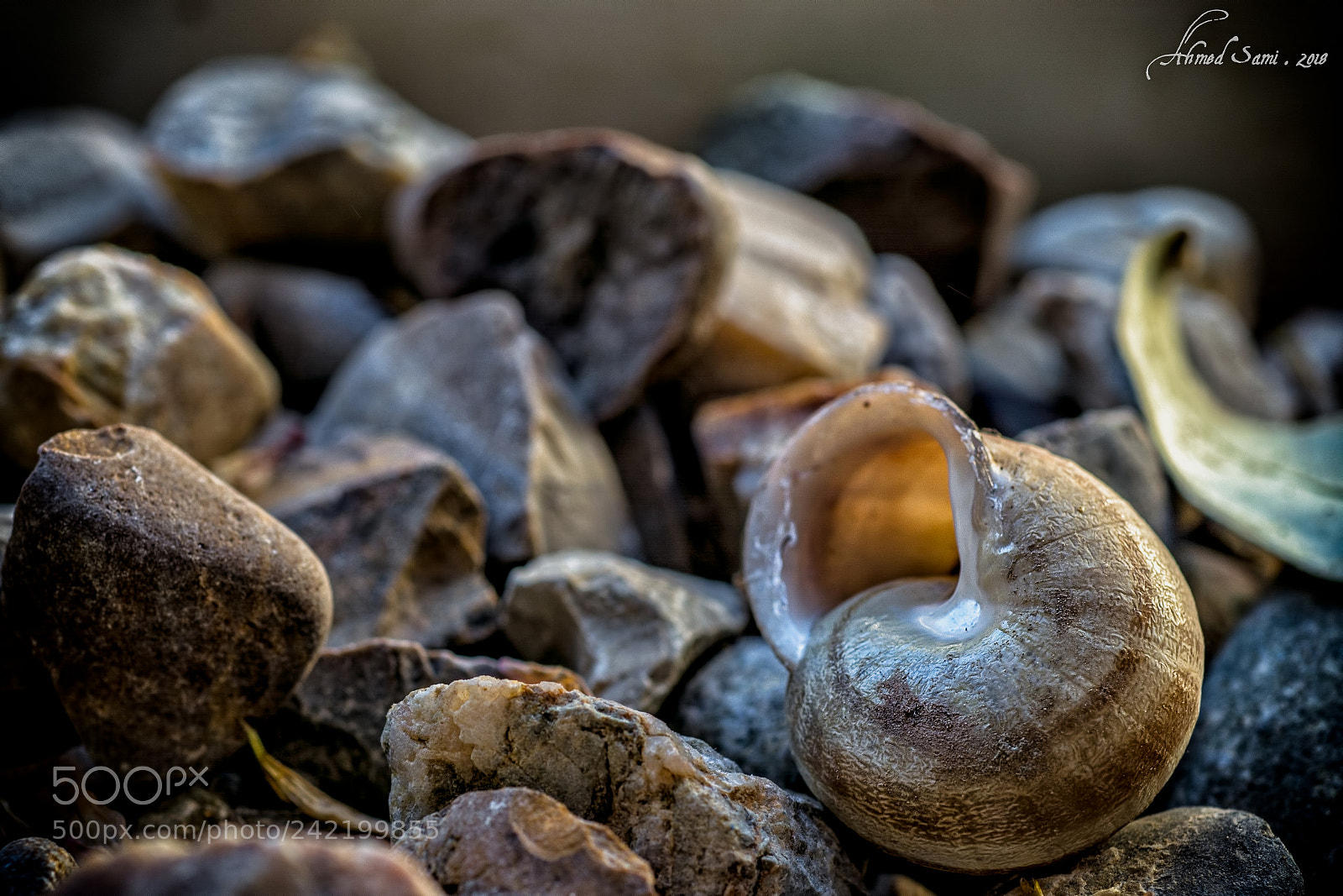 Nikon D7100 sample photo. Taking a nap photography