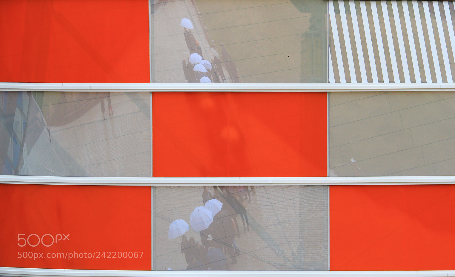Canon EOS 550D (EOS Rebel T2i / EOS Kiss X4) sample photo. Puzzle photography