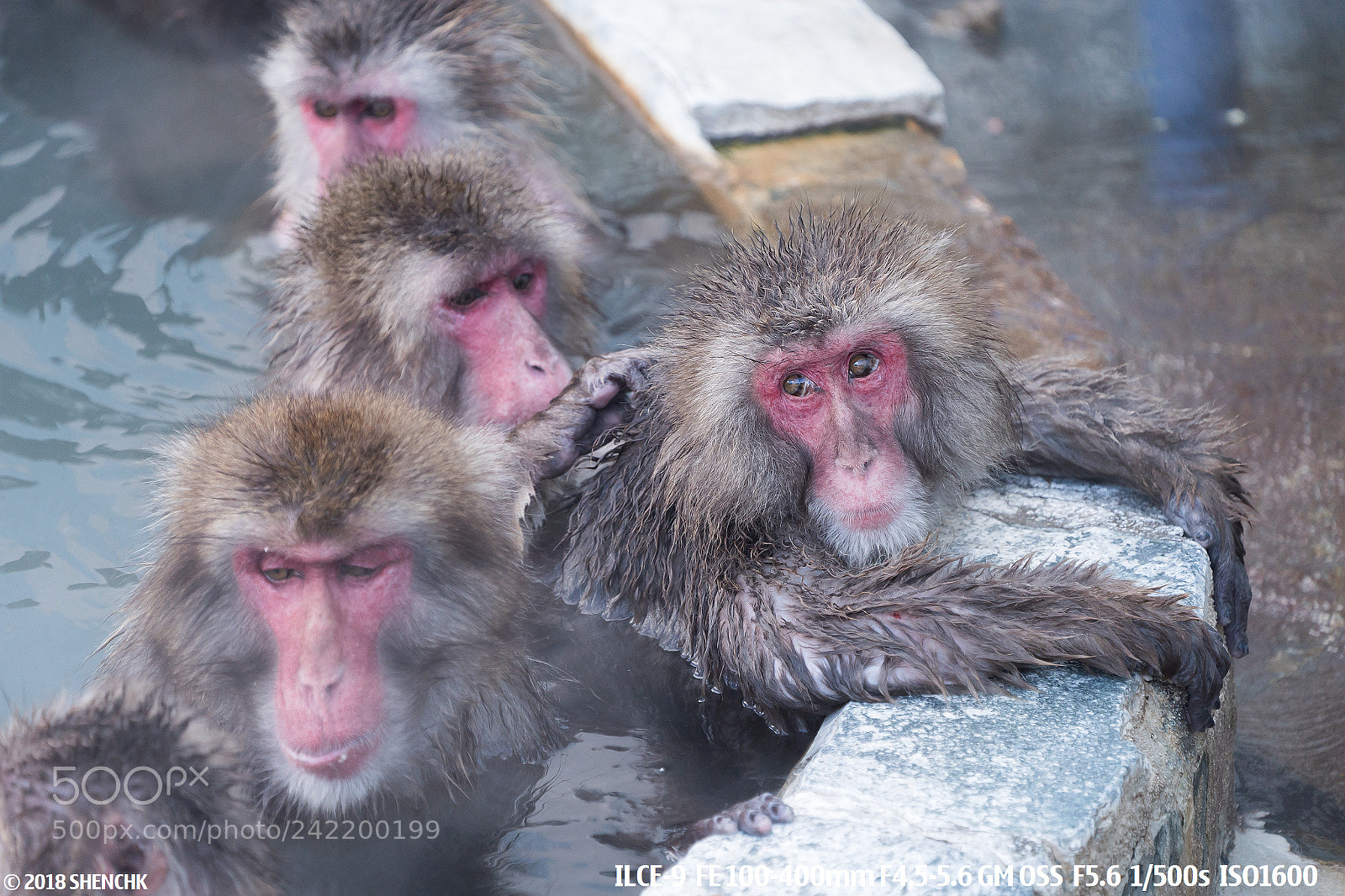 Sony a9 sample photo. Enjoy the spa photography